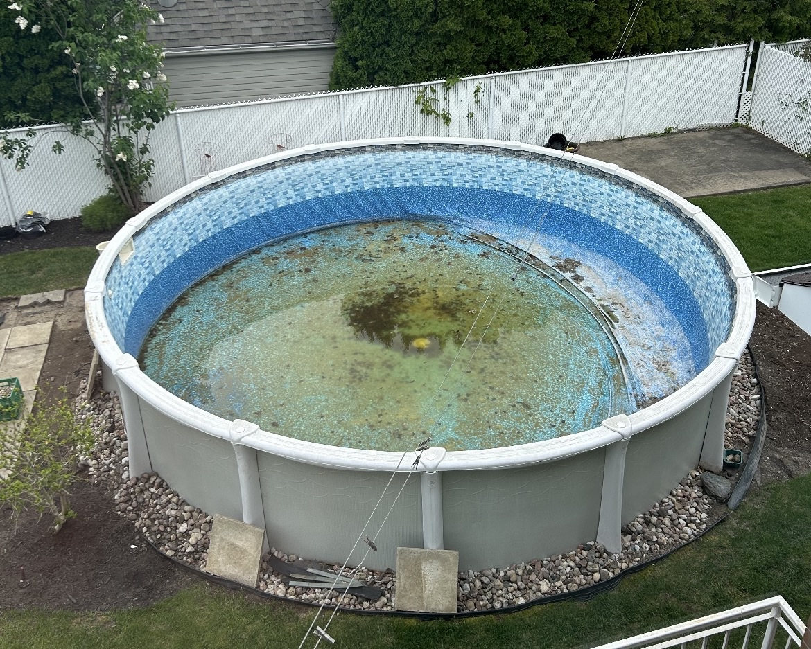 Above-ground pool before removal
