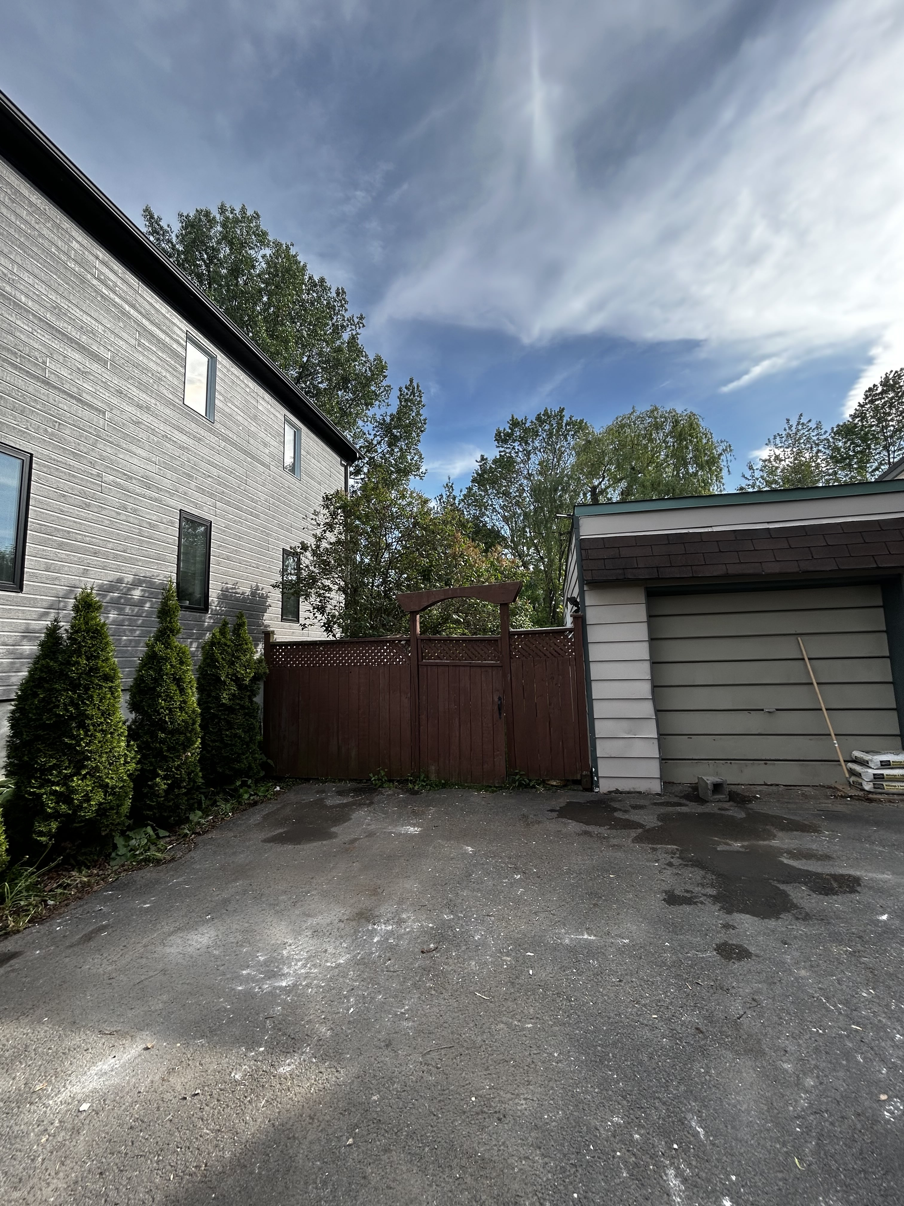 Clean yard after junk removal