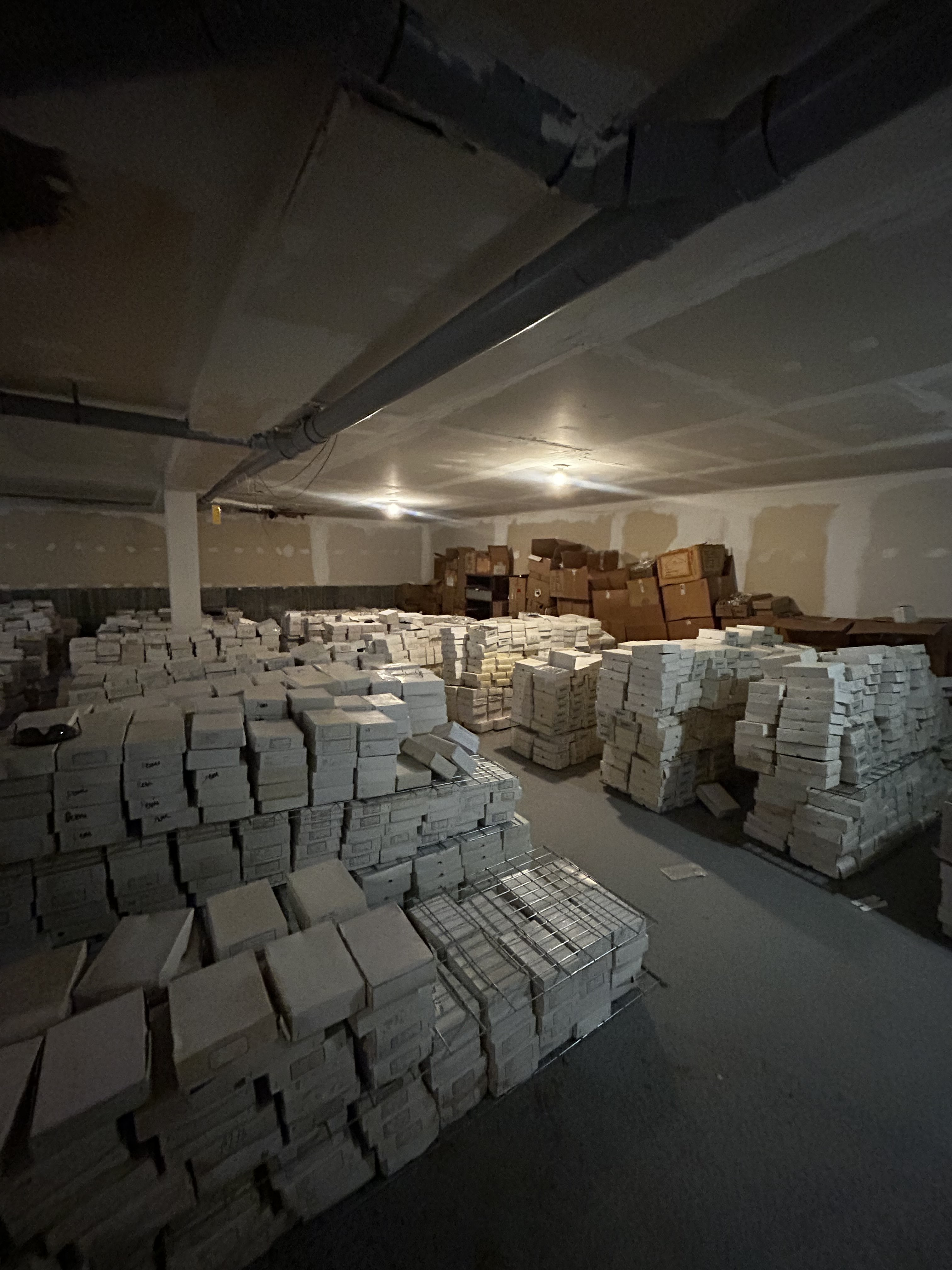 Basement packed before cleanout
